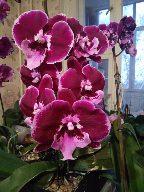 изображение viber 2024 10 03 07 23 59 068